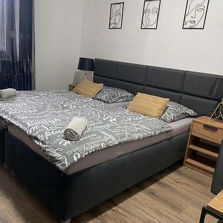 Cerna Ruze - Apartman 4 プルゼニ エクステリア 写真