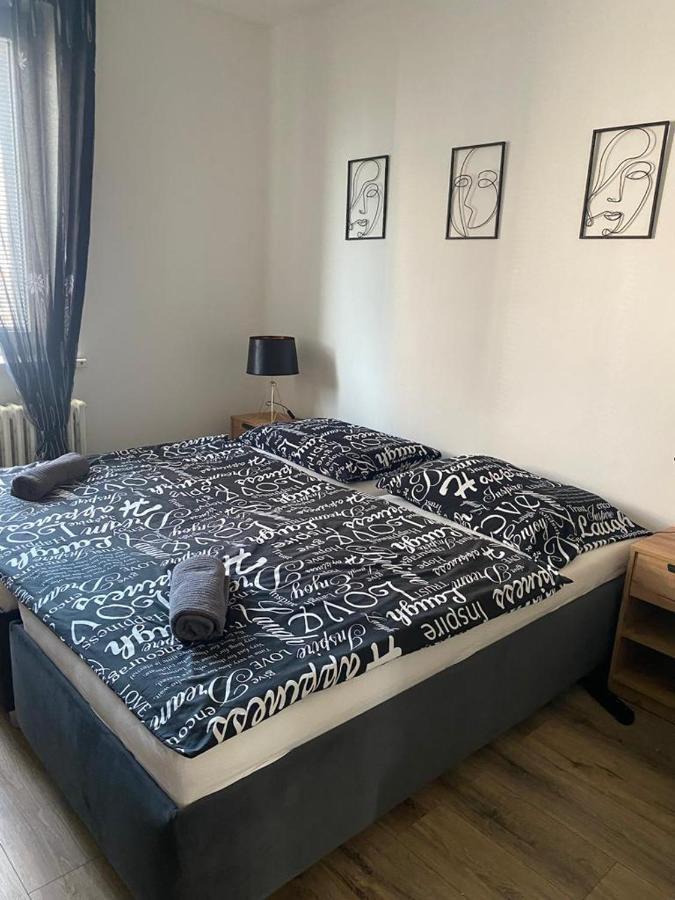 Cerna Ruze - Apartman 4 プルゼニ エクステリア 写真