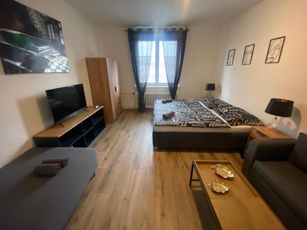 Cerna Ruze - Apartman 4 プルゼニ エクステリア 写真