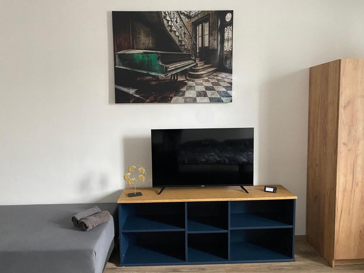Cerna Ruze - Apartman 4 プルゼニ エクステリア 写真